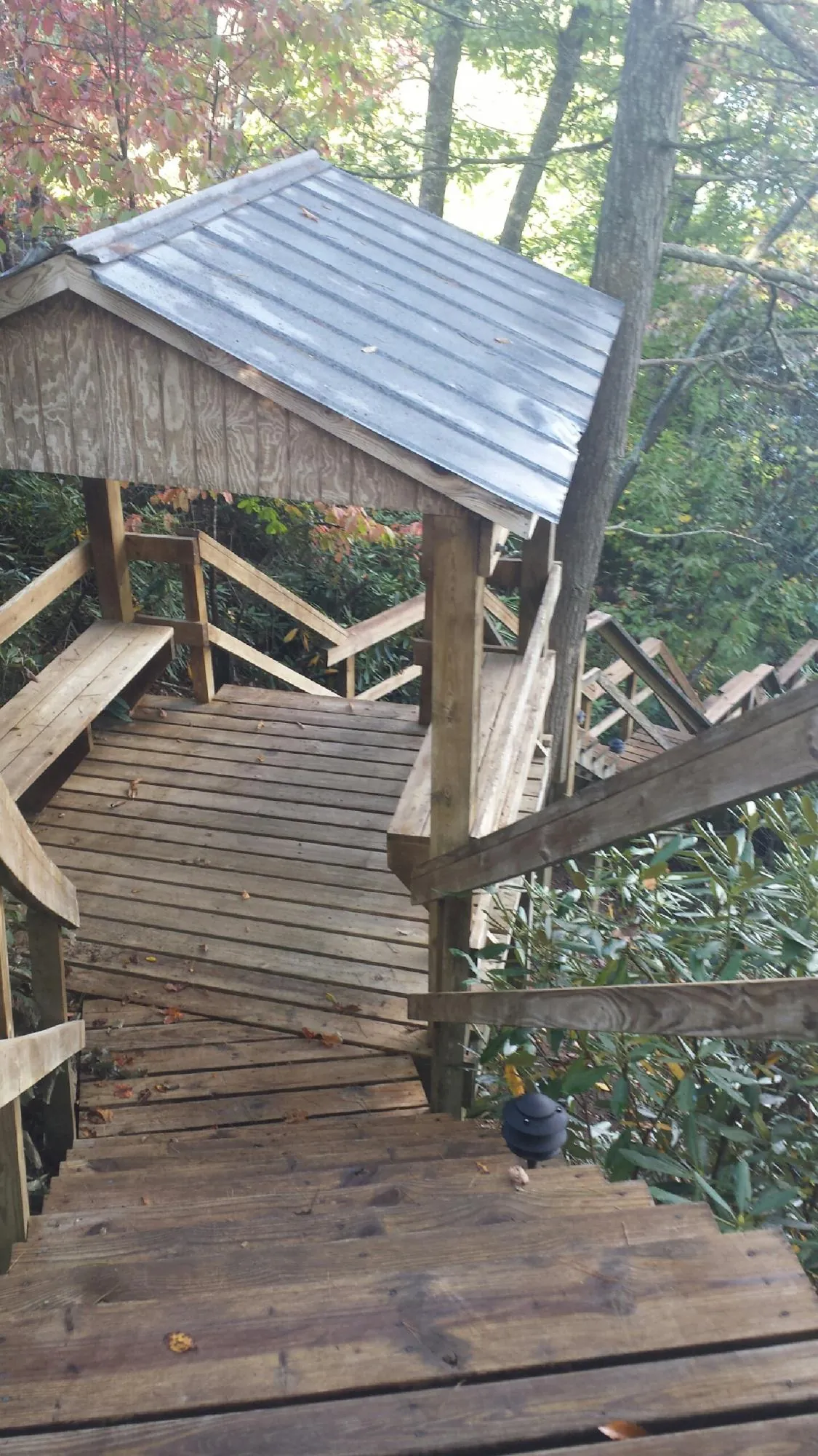 Metal roofed shelter over wooden steps on a wooded walkway — Skylight Repair & Installation work by our crew in Ridgeland